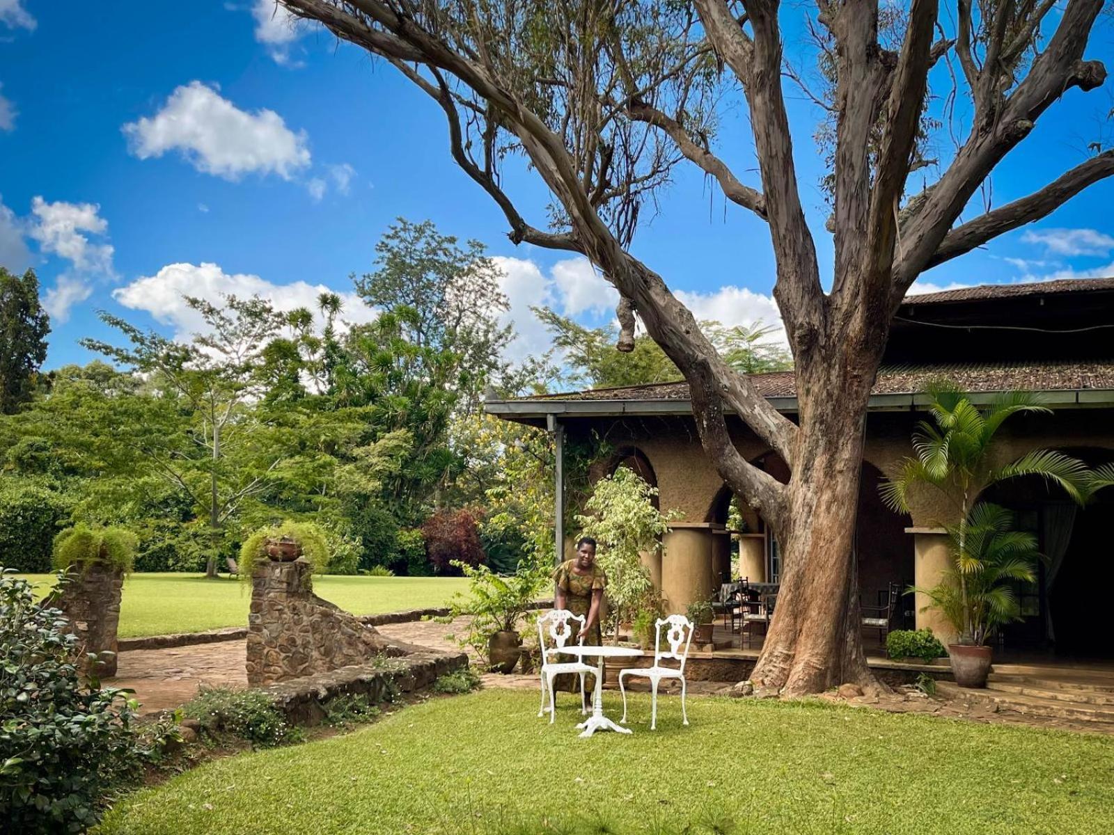 Huntingdon House And Chawani Bungalow Thyolo Buitenkant foto