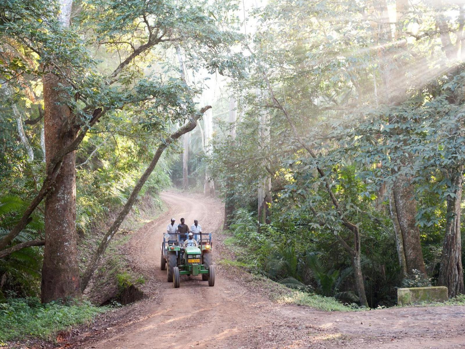 Huntingdon House And Chawani Bungalow Thyolo Buitenkant foto
